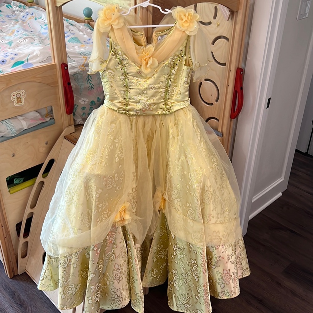 Limited Edition Disney Chasing Fireflies costume